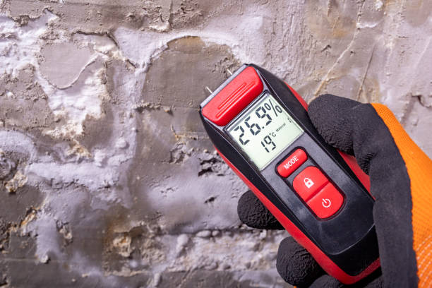 Best Toxic Mold Removal  in Petersburg, AK